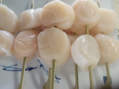 IMG_20240708_115019.jpg