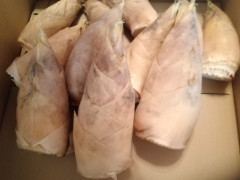 IMG_20250326_120124.jpg