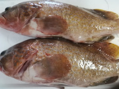 IMG_20250607_101125.jpg