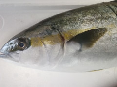 IMG_20250613_105116.jpg