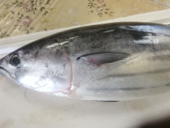 IMG_20250826_102522.jpg