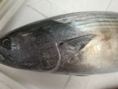 IMG_20250830_101812.jpg