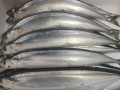 IMG_20250901_114540.jpg