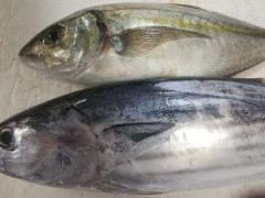 IMG_20250920_105128.jpg