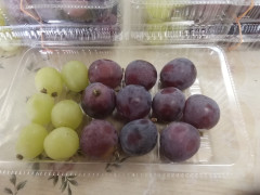 IMG_20250927_111545.jpg