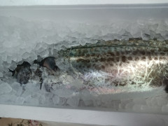 IMG_20260427_101009_042.jpg
