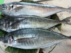 IMG_20260928_103351_025.jpg