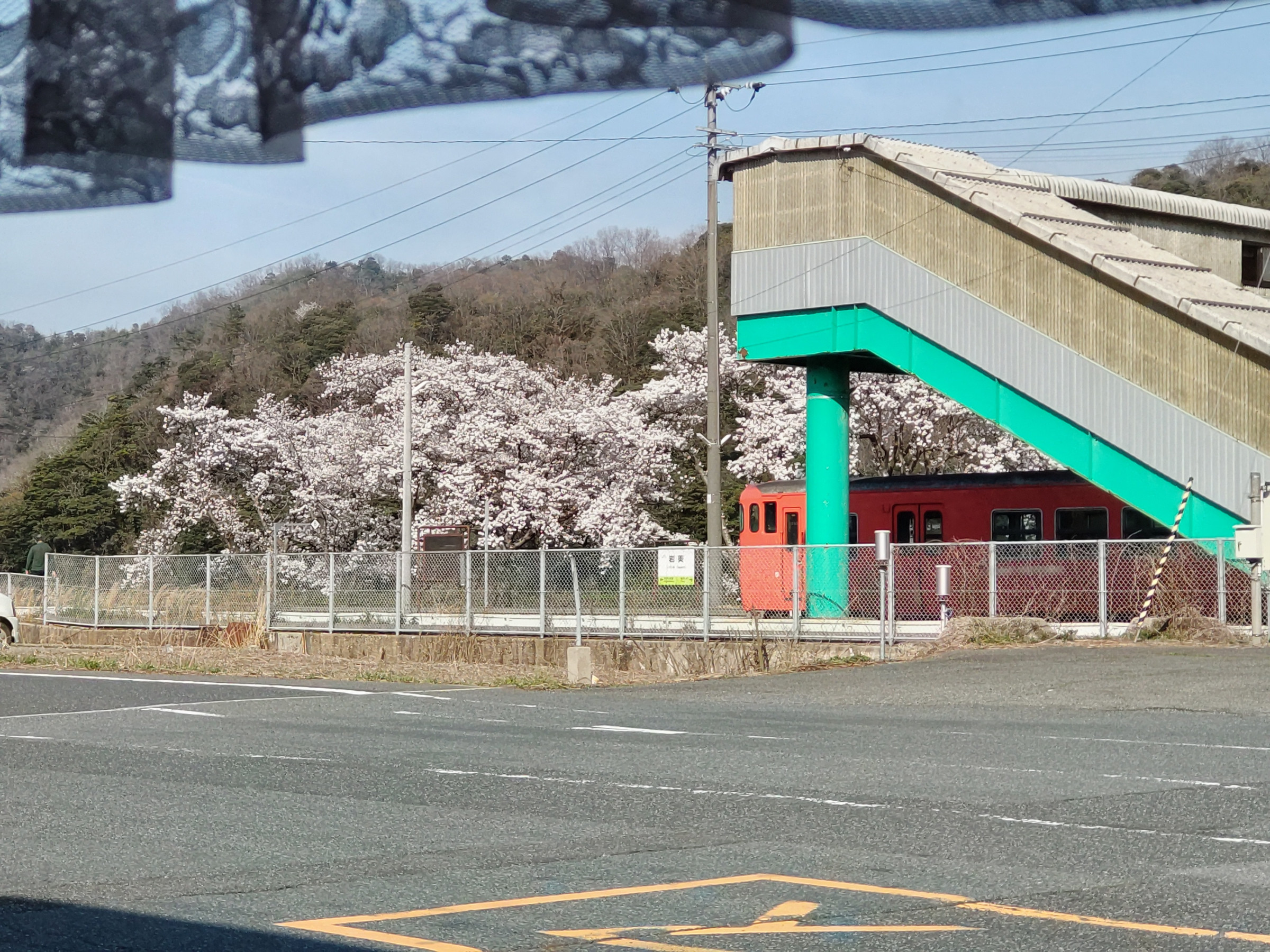 店内から見える岩美駅の桜