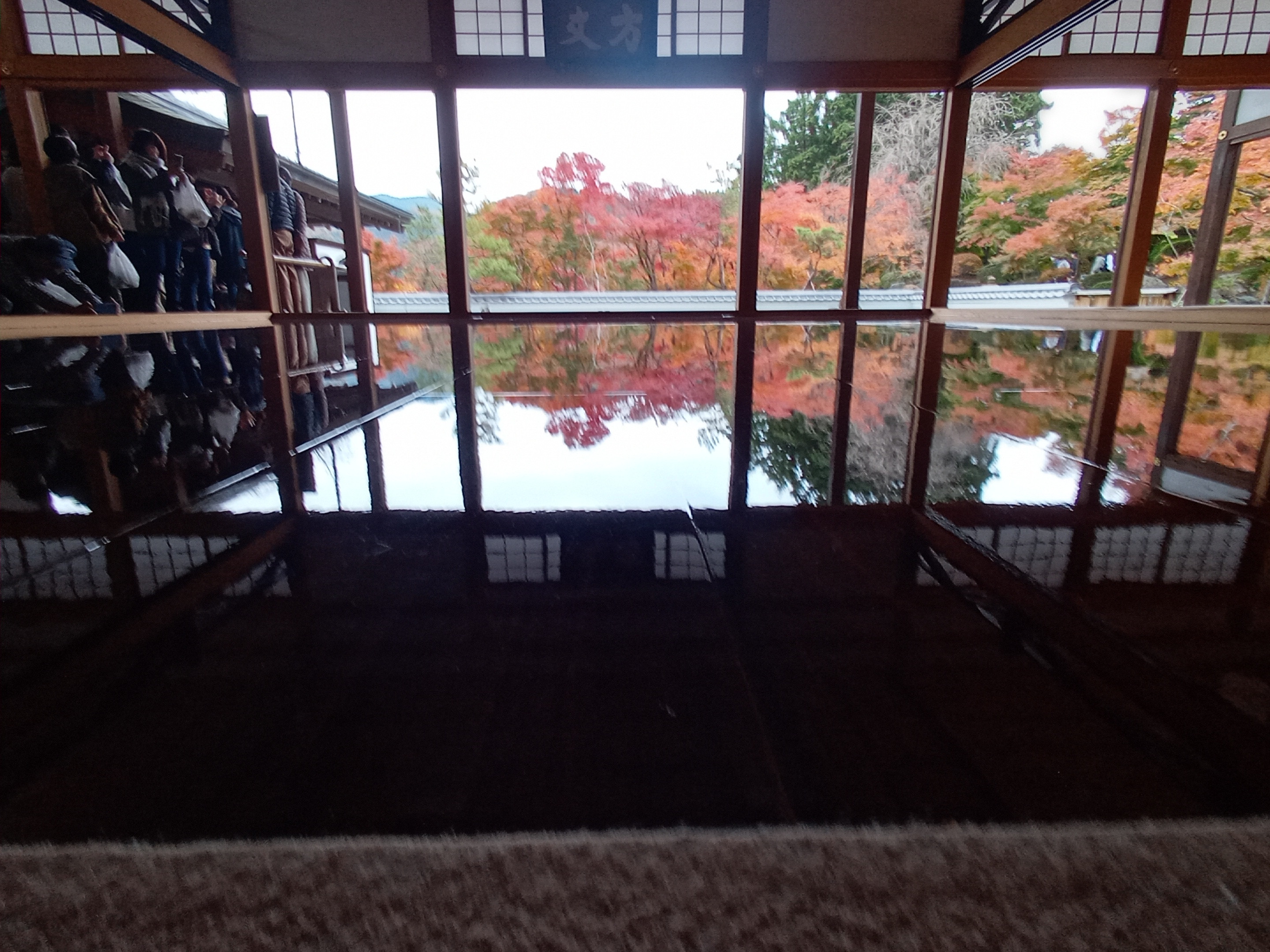 宝徳寺の床紅葉！