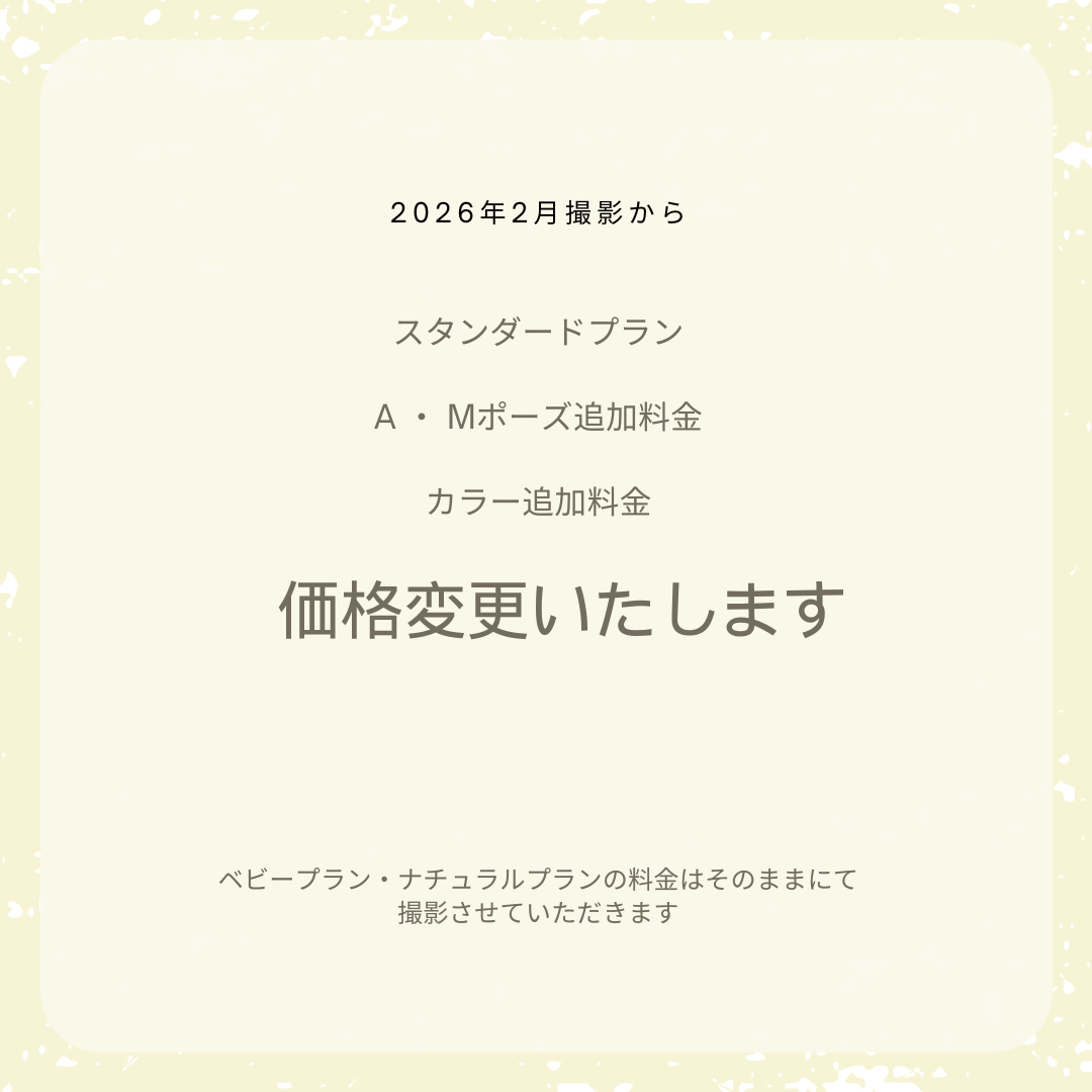 2月撮影よりプラン・ポーズ価格改定のお知らせ