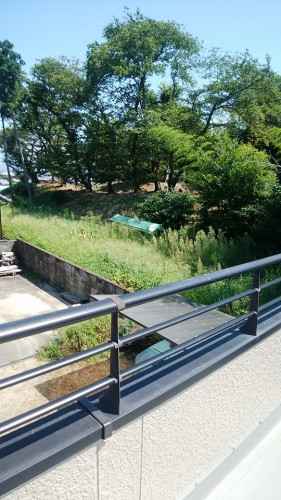 雑草.jpg