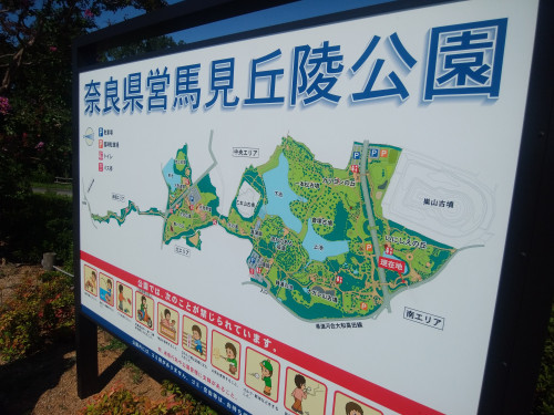 公園.jpg