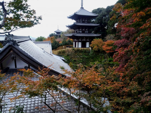 當麻寺・２.jpg