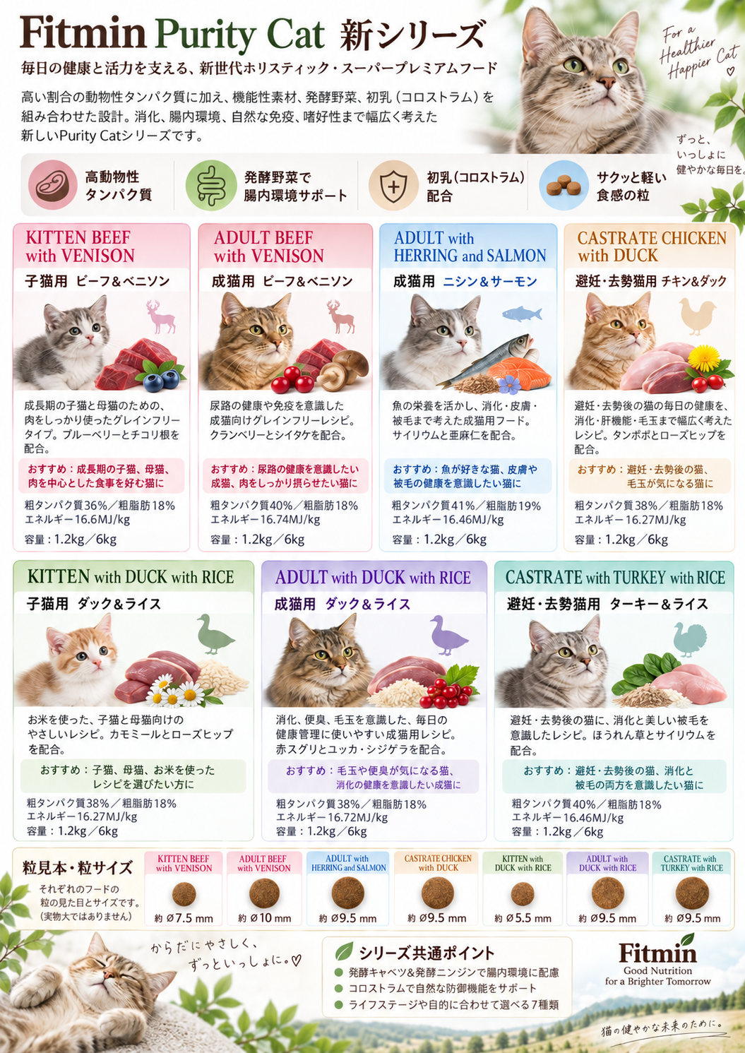 ChatGPT Image 2026年9月18日 12_04_29.png