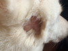 line_oa_chat_260923_180210.jpg