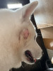 line_oa_chat_260923_180213.jpg