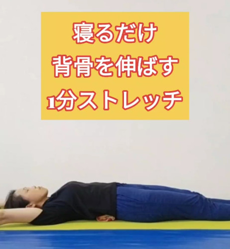 5/27は背骨の日です