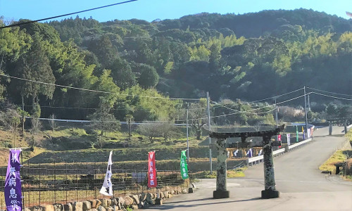 公式 春日神社 佐世保市吉井町 初詣 安産祈願 お祓い 神田左京 楽市