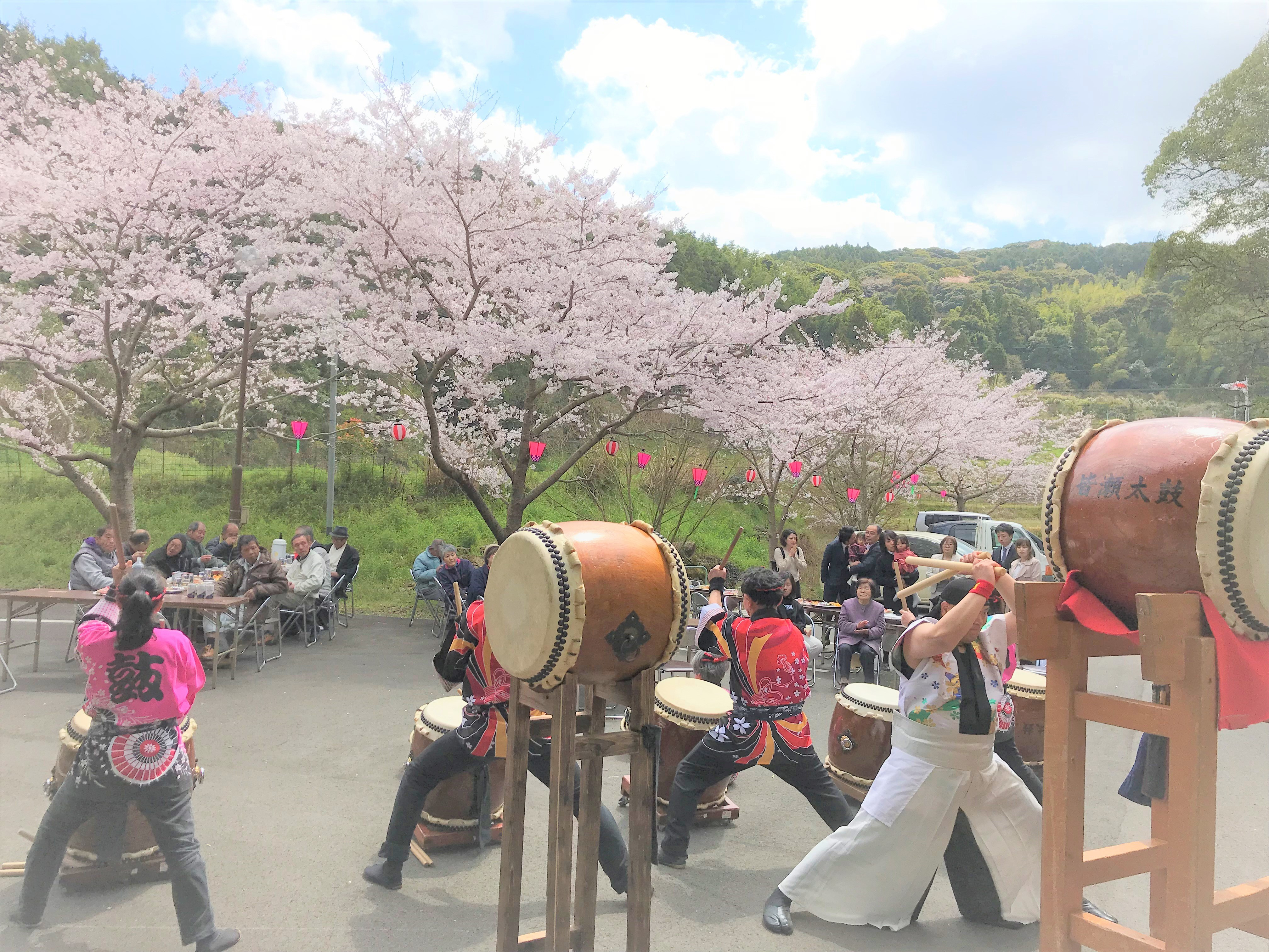 観桜会の中止と、お花見について。