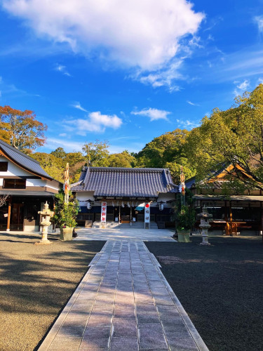 228A48F8-34E4-4679-8558-7C41CC19C615 (002).JPG