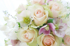 白ばらの花束.jpg