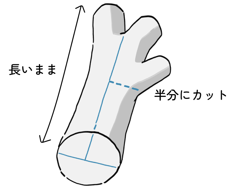 実録　バストゥーン