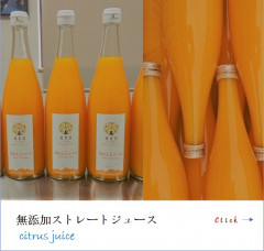 jyu-su.jpg