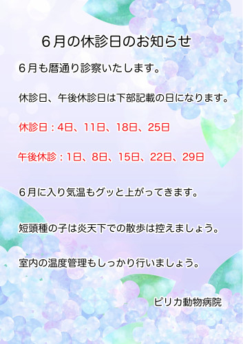 2025:6:休診日.jpg