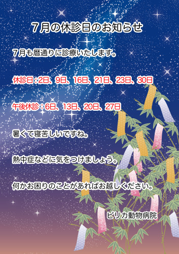 2025:7休診日.jpg