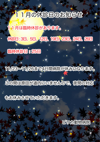 2025:11:休診日.jpg