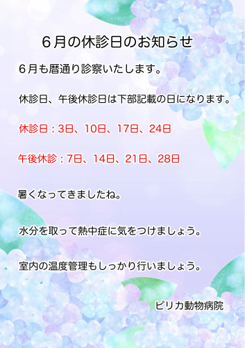 2026:6:休診日.jpg