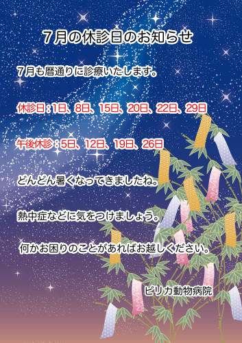 2026:7:休診日.jpg