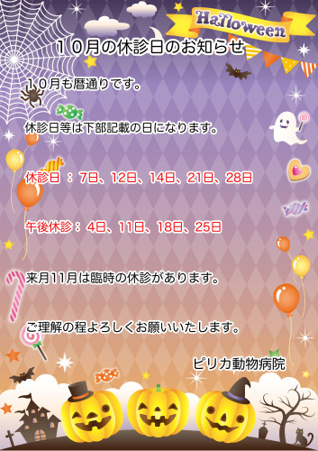 2026:10:休診日.jpg