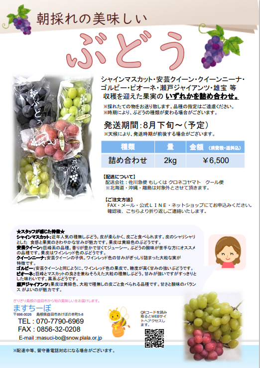 ぶどう🍇の詰め合わせ