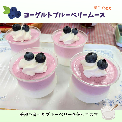 新作✨ヨーグルトブルーベリームース