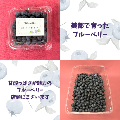 【入荷】美都で育ったのブルーベリー