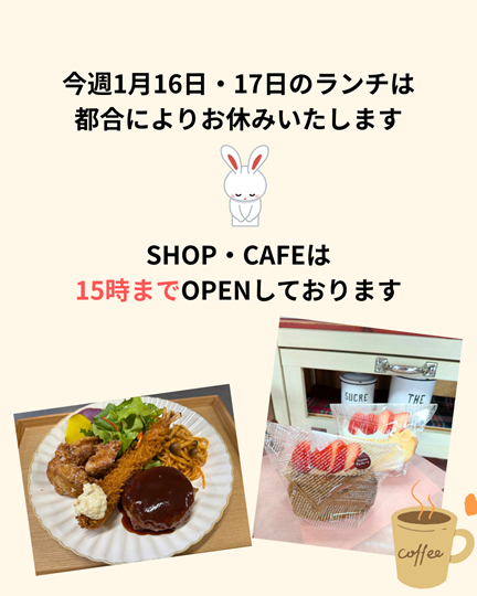 今週のランチはお休みです