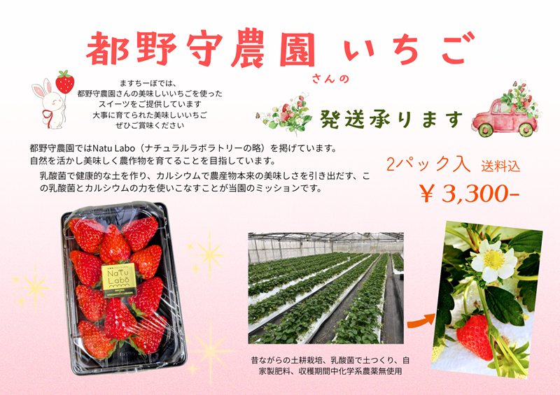 都野守農園さんのいちご🍓