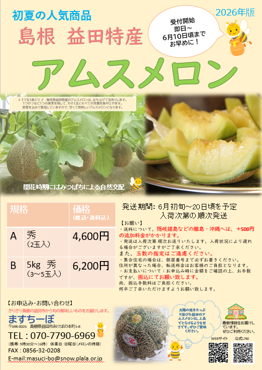 【ご予約受付開始】益田産アムスメロン🍈