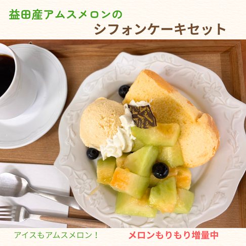 【受付終了】益田産アムスメロン🍈