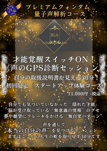 声解析メニュー表11[.png