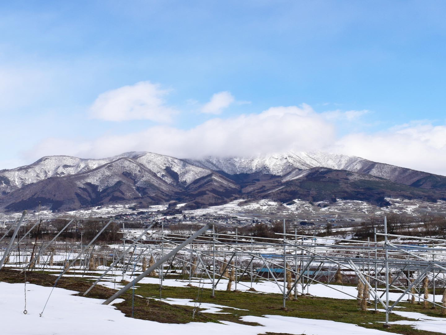 ぶどう畑の冬景色 果実企画ホームページ