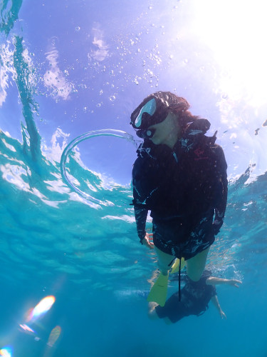 2025年ご愛顧ありがとうございました