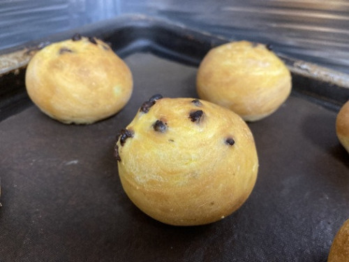 2026.8.6かぼちゃのチョコパン.jpeg