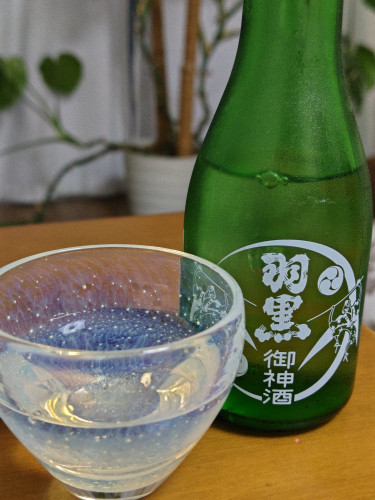 IMG_0866.jpeg