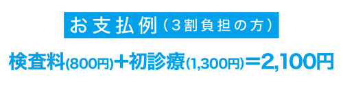 2509お支払い例.jpg