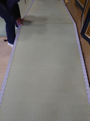 1668388505767.jpg