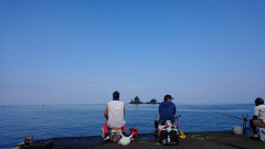 image5.jpeg