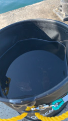 S__47587332_0.jpg