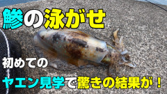 SnapShot.jpg本稿.jpg